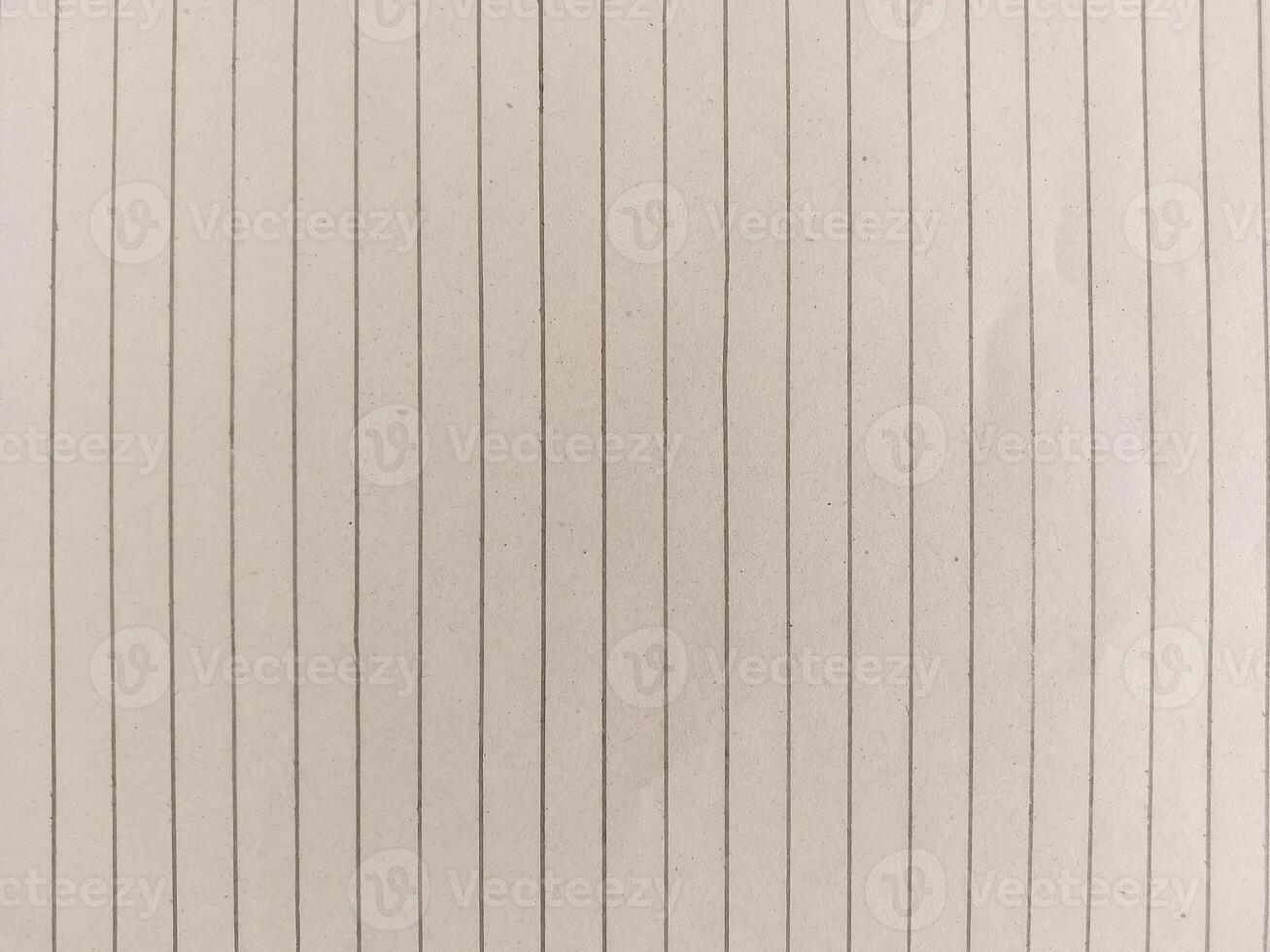 Blank Lined Notebook Page with Vertical Ruling photo