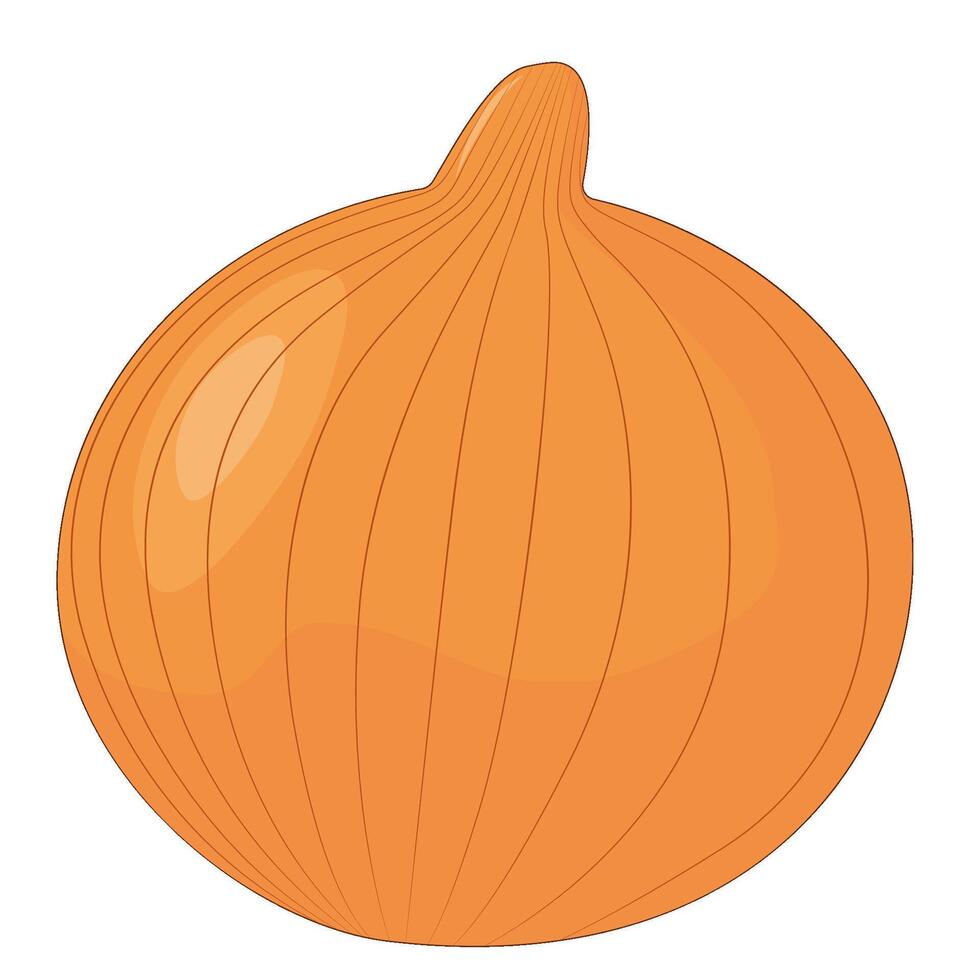 illustration of a fresh raw yellow onion, isolated on a white background vector