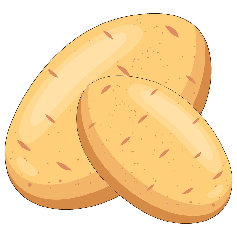 Illustration of two fresh, whole, raw potatoes, isolated on a white background. vector