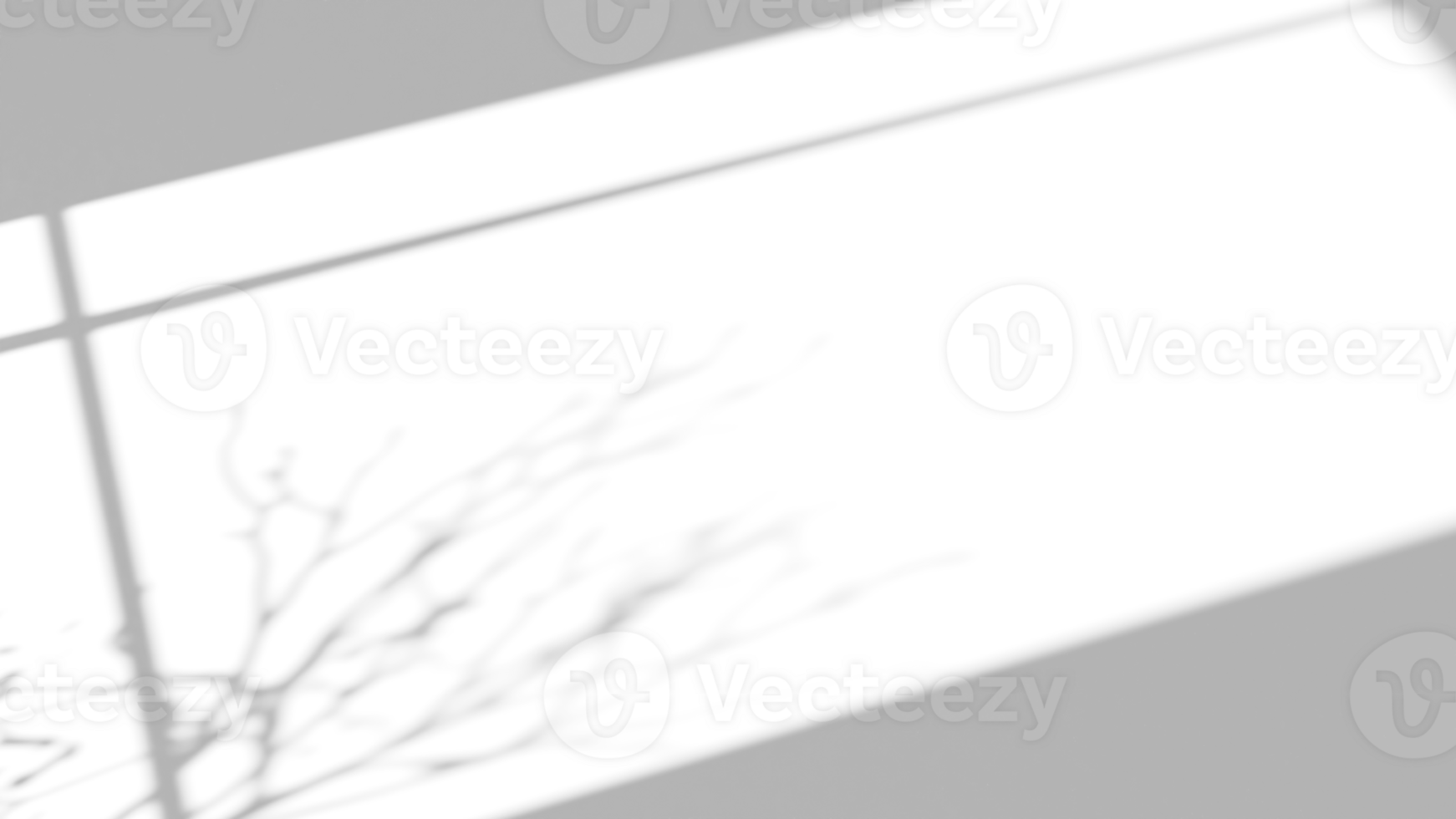 Realistic shadow overlay effect with branch and window on transparent background png