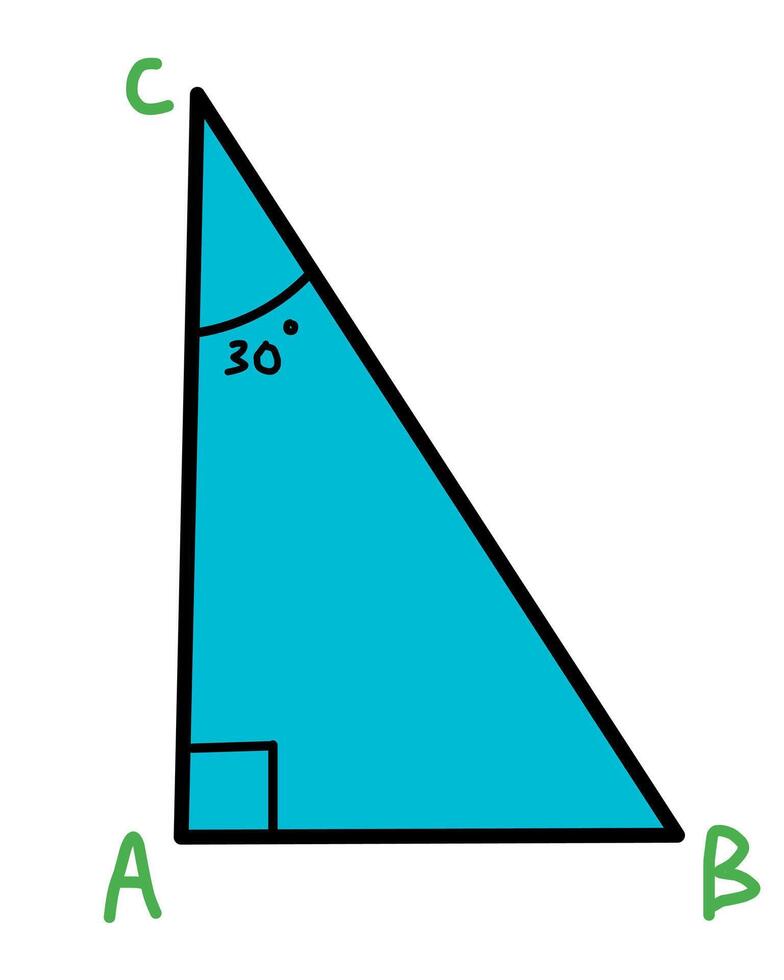 en ángulo recto triángulo con 30 la licenciatura ángulo y vértices vector