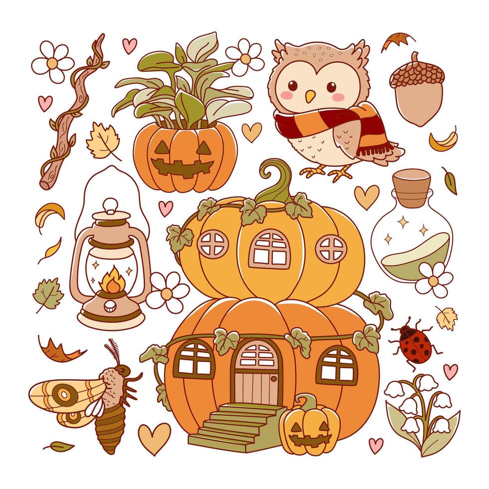 Fall illustration with pumpkins and owl vector