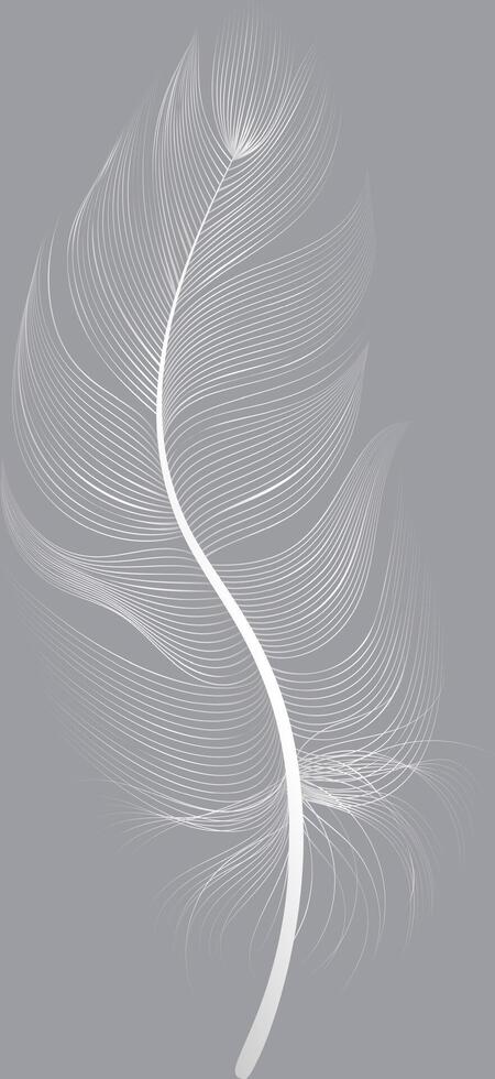 Light, delicate white feather falling gently against a solid gray backdrop, embodying concepts of softness, lightness, flight, and fragility vector