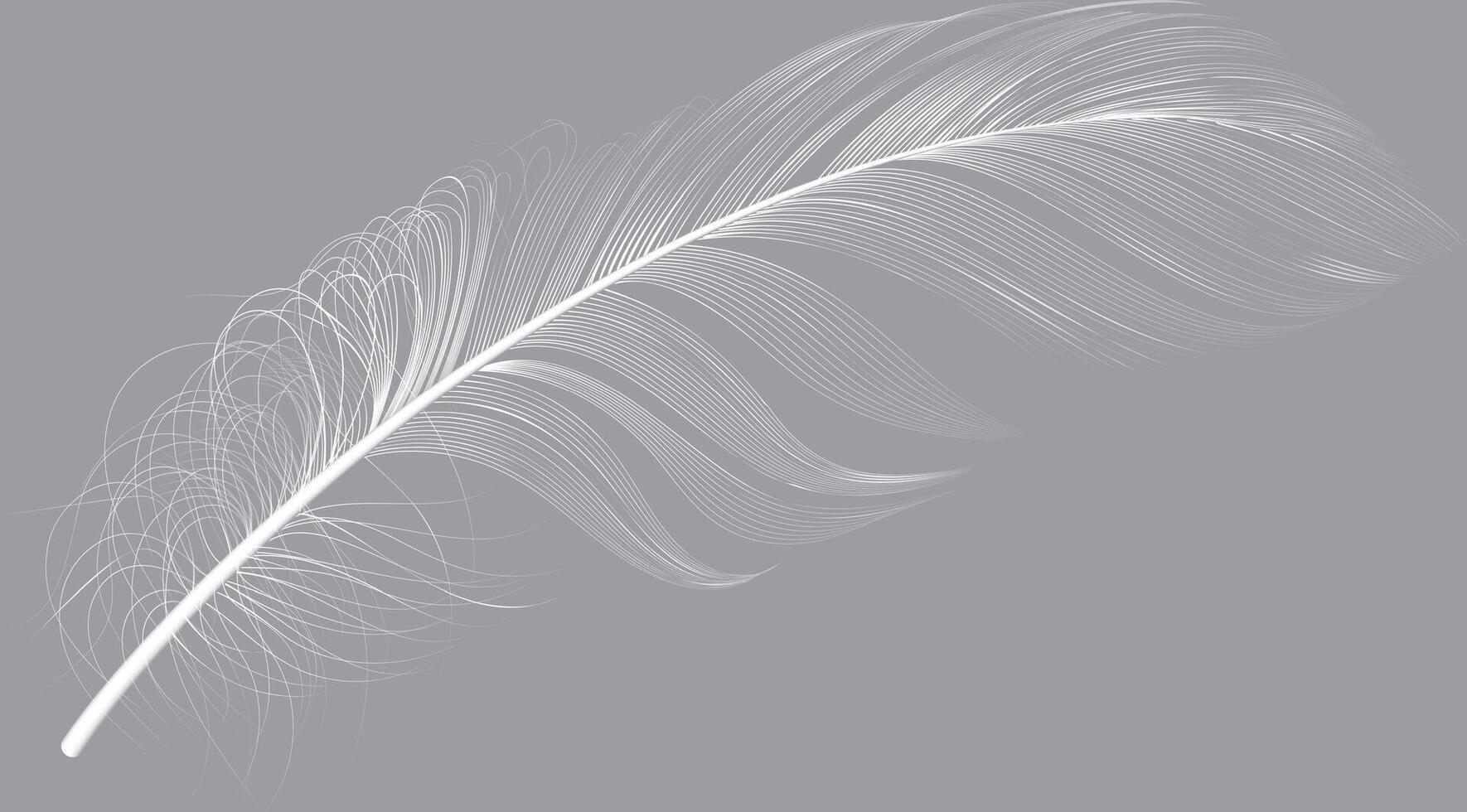 Single white feather floating on a gray background, creating a delicate and elegant composition, ideal for backgrounds, textures, and design elements vector