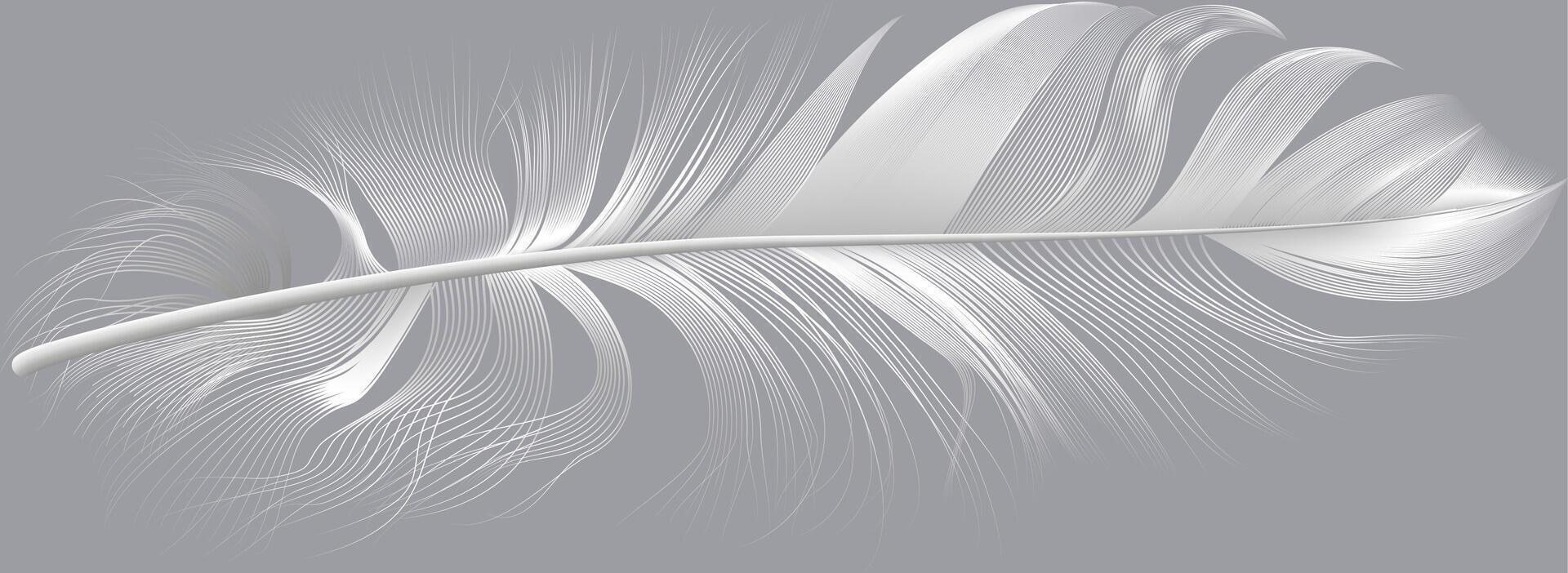 Elegant white feather with delicate, intricate details, gracefully floating against a neutral gray backdrop, creating a serene and minimalist composition vector