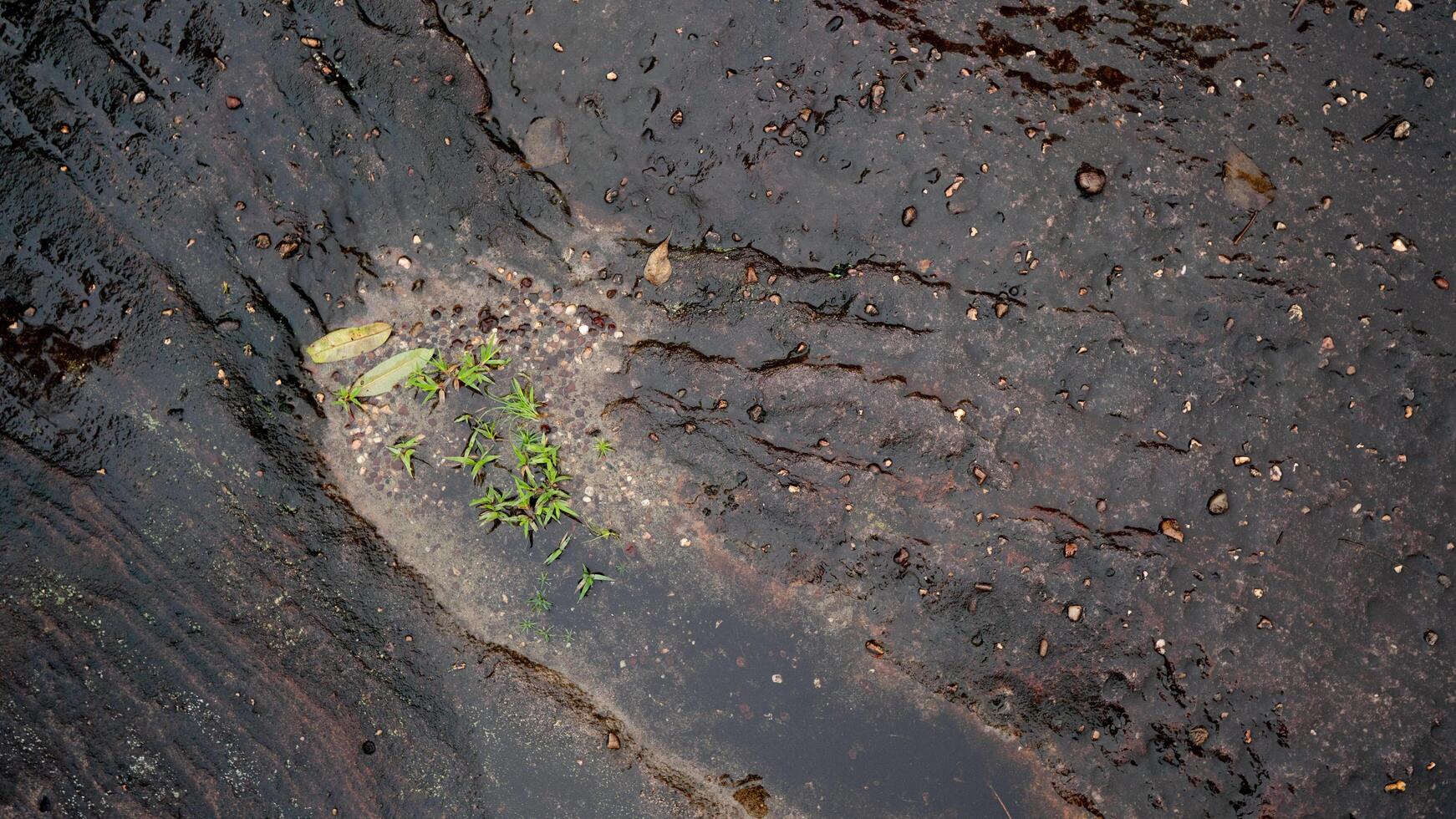 Above view of dark black and brown stone slabs. Different patterns create beauty. Wet surface with small moss creating beauty under water. For background and texture. photo