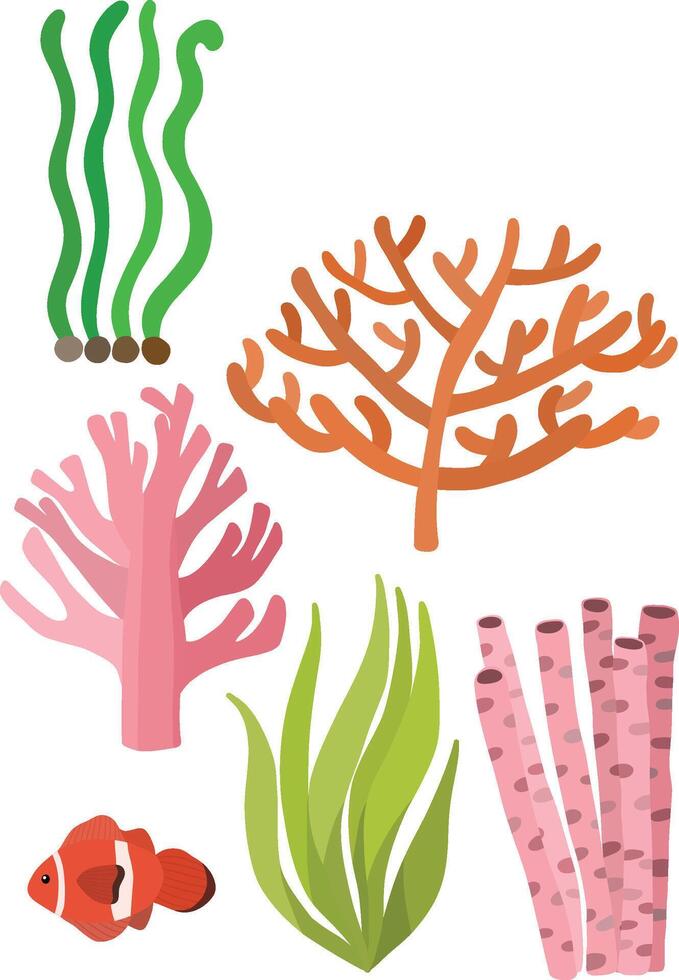 Various colorful pink orange coral reefs and clownfish editable design illustration vector