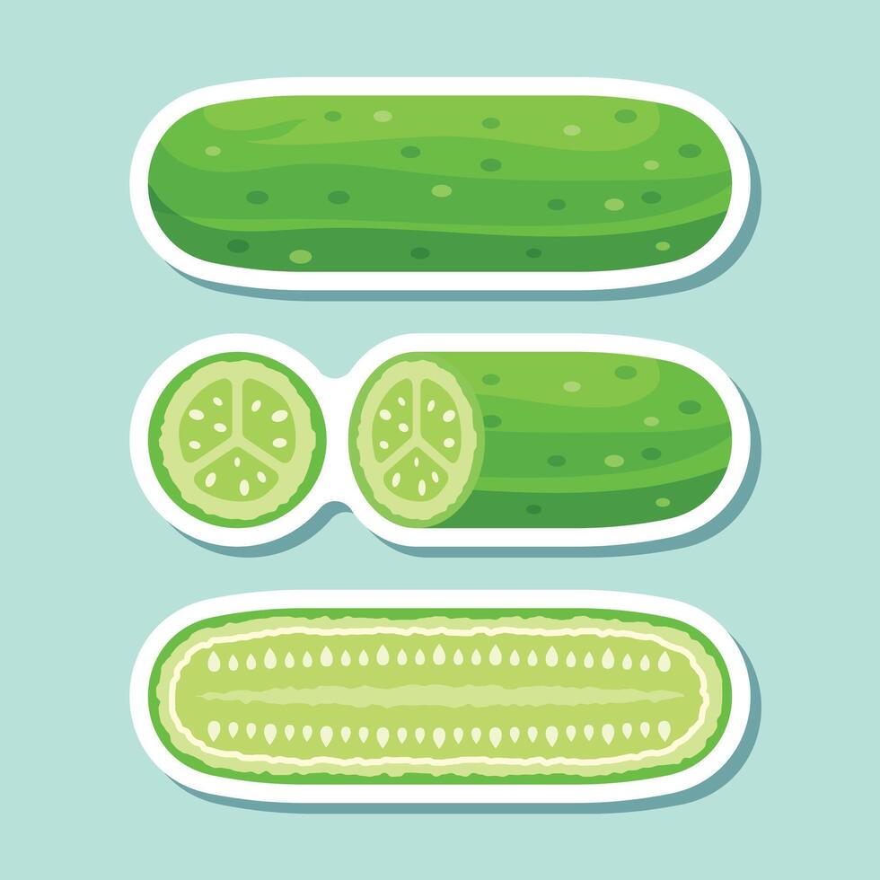 Cucumber slices and slices of cucumbers in different shapes vector