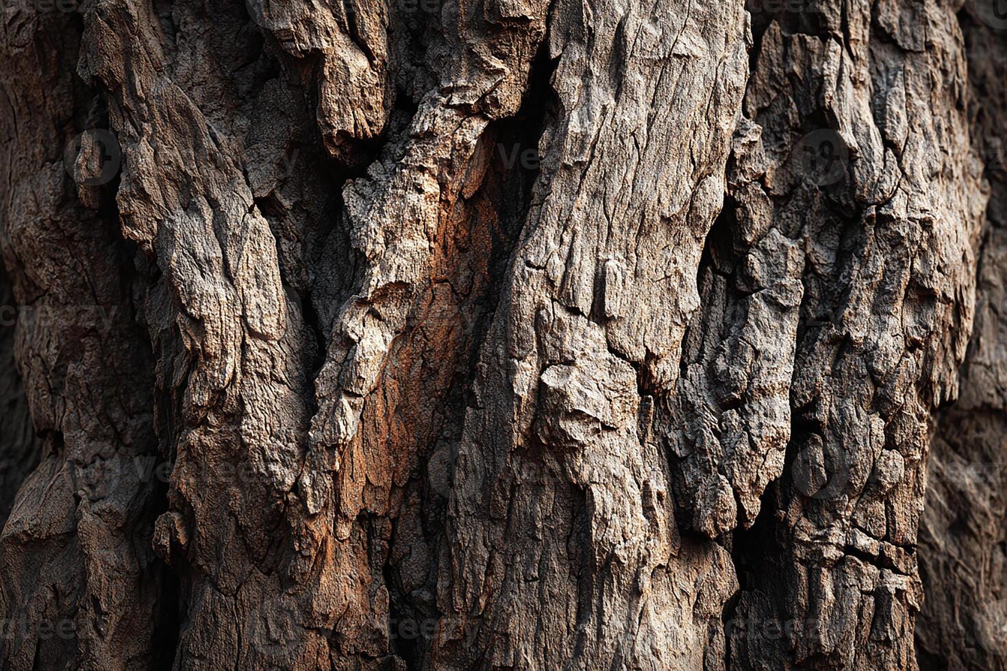 Close up of bodhi tree bark showing deep lines and realistic rough texture photo