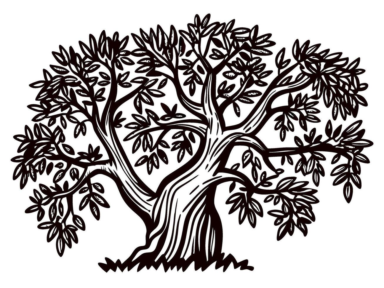 Intricate hand drawn olive tree with twisted trunk and leafy branches isolated on white background engraving vector