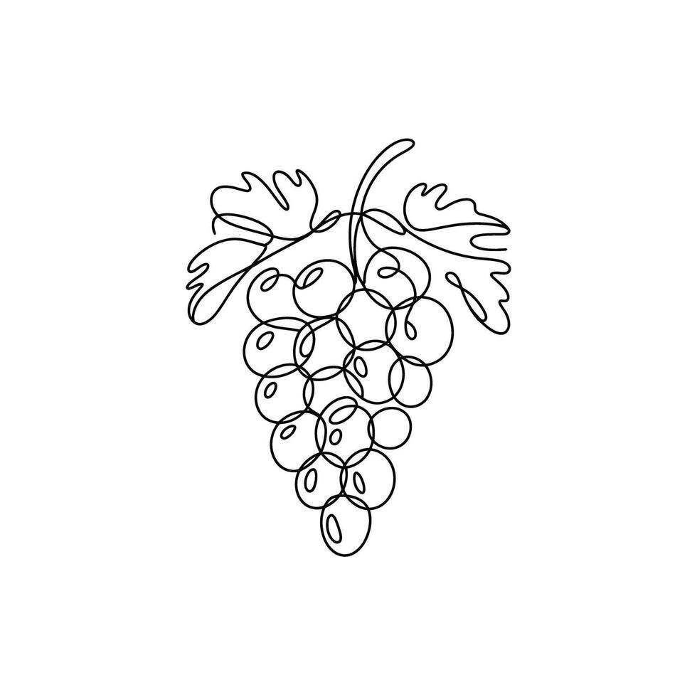 Elegant Grape Illustration with Single Continuous Line Art A Minimalist Approach to Capturing the Essence of Fruit vector