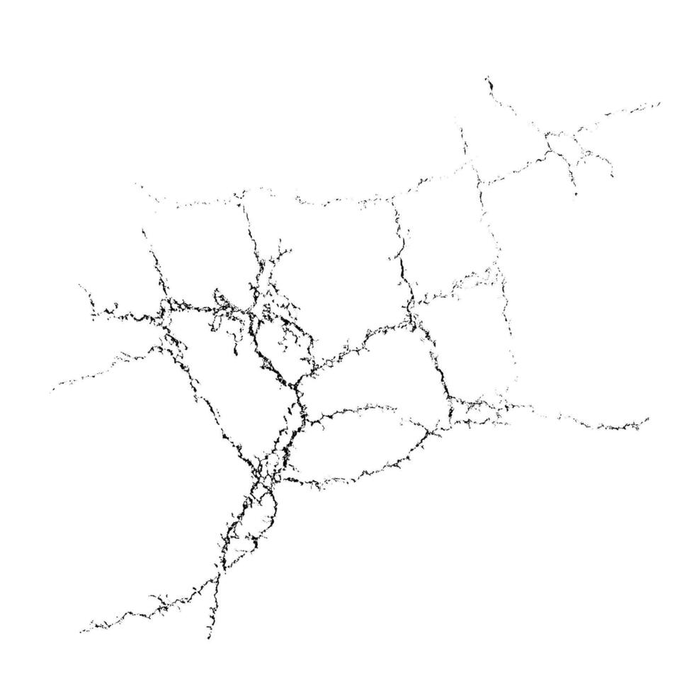 Abstract texture. Natural complex crack element on white background. Organic grunge one color surface. vector