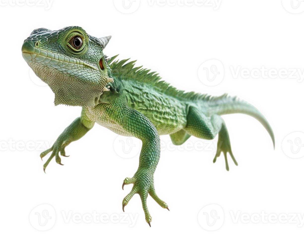 vibrant green lizard with textured skin and playful posture, showcasing its unique features and lively expression. This reptile captures attention with its striking appearance and dynamic stance png