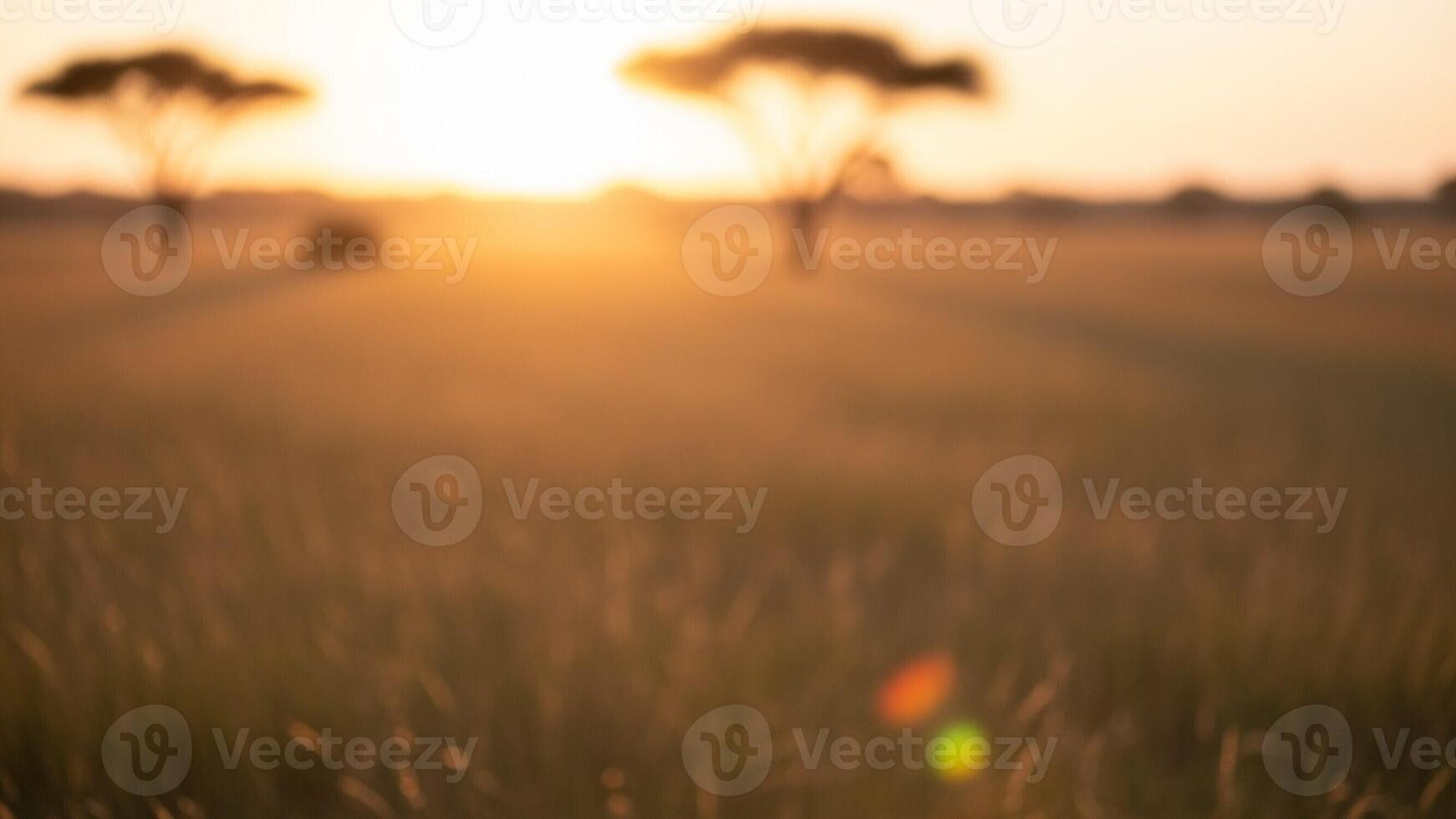 A blurry image of a field with trees in the background photo