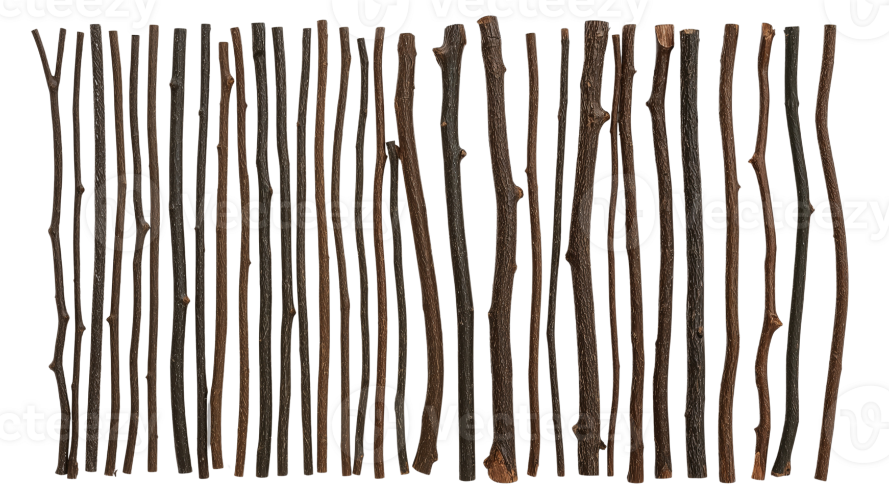 Arrangement of weathered tree branches with varied textures creating a rustic artistic expression png