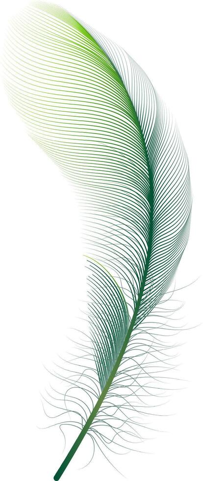 Green feather floating on a white background, with a gradient color effect going from light green to dark green, creating a soft and elegant image vector