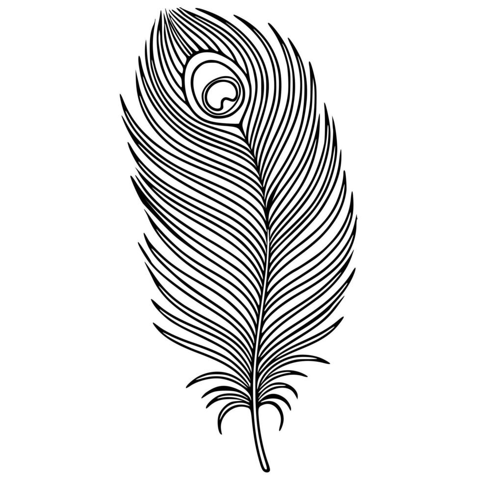 Elegant illustration of a single peacock feather with detailed line art and a distinctive eye pattern, perfect for design projects requiring a touch of natures elegance. vector