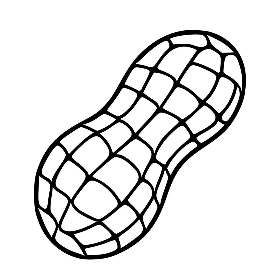 A illustration of a single peanut in a shell, meticulously detailed with a gridlike pattern on its surface, presented in a bold black and white style against a stark white background. vector