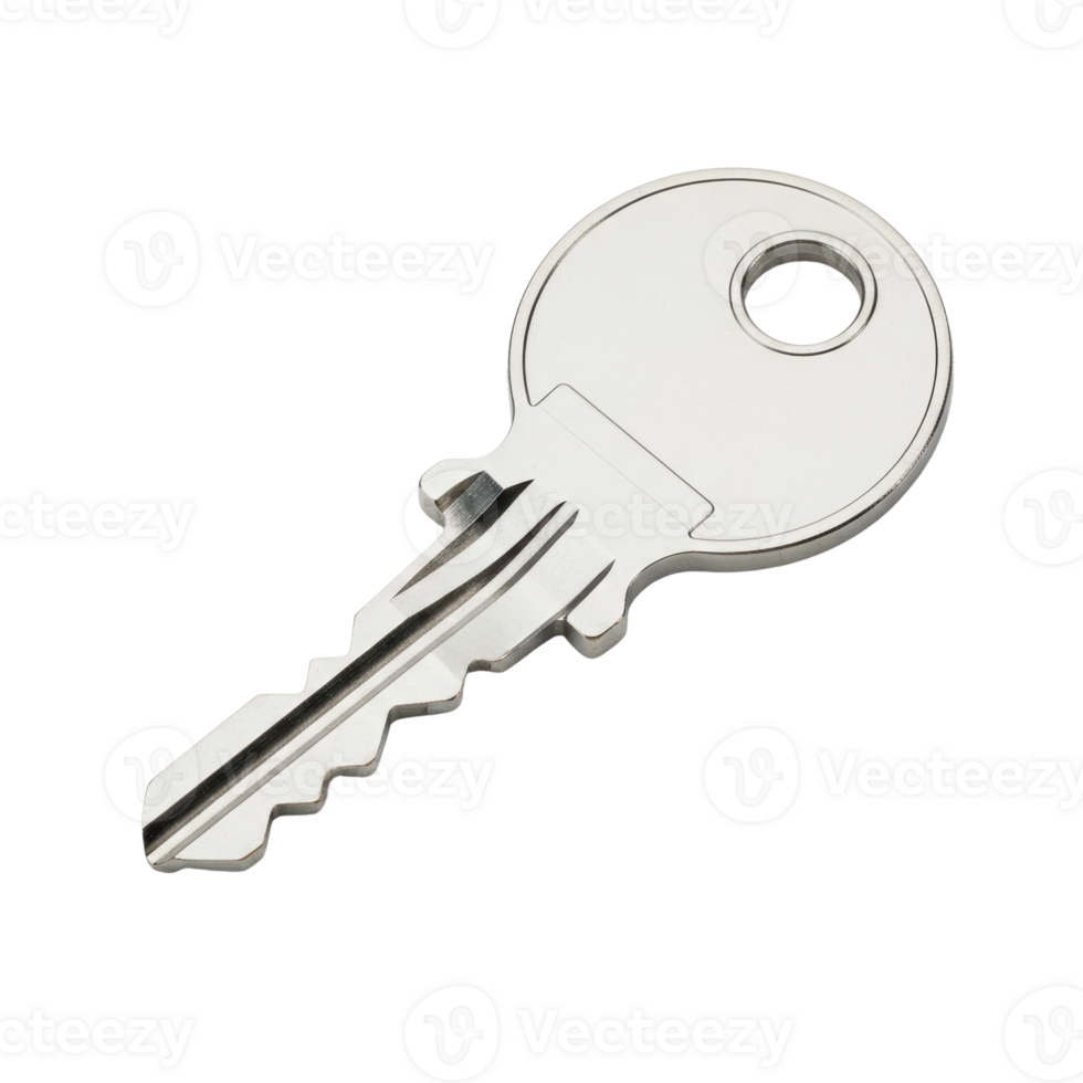 A single, shiny silver metallic key with a classic design, symbolizing security, access, and unlocking possibilities. Ideal for concepts related to property, privacy, or solutions. png