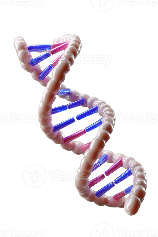 abstrait représentation de ADN double hélix structure avec coloré base paires dans 3d rendre png
