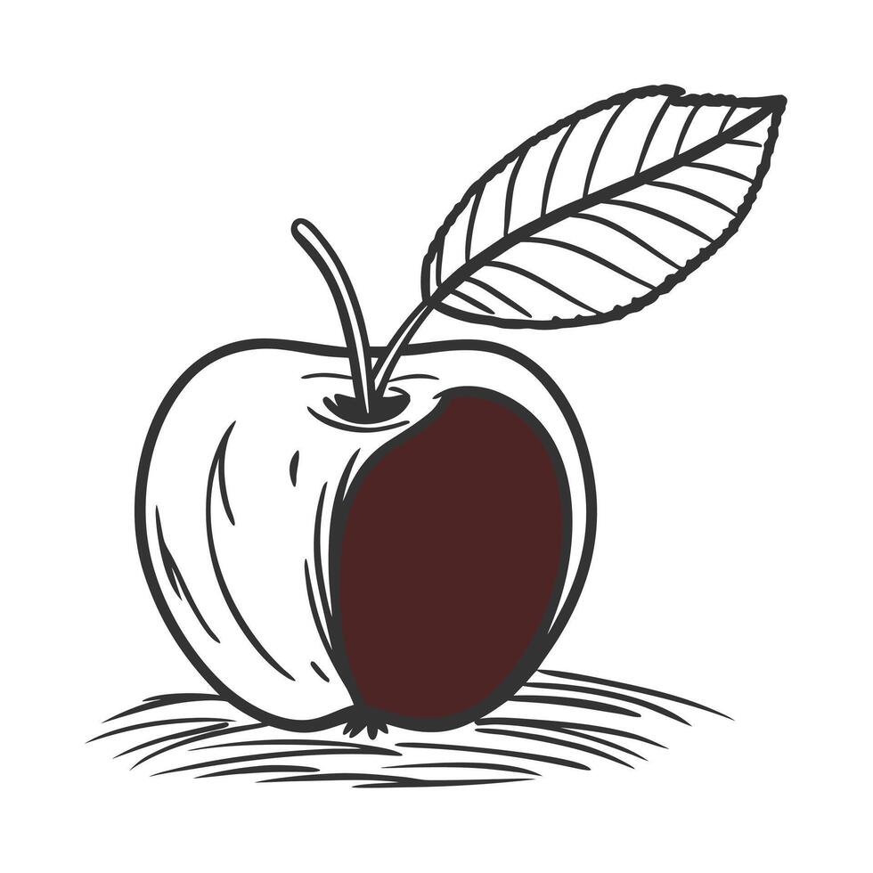 Rustic Hand-Drawn Illustration of a Partially Eaten Apple on a Simple Background, Evoking a Sense of Rustic Charm and Autumnal Mood vector