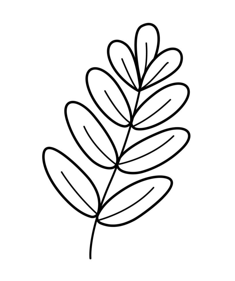 A leaf of a forest tree icon. illustration of a cartoon branch with leaves, isolate on white. vector
