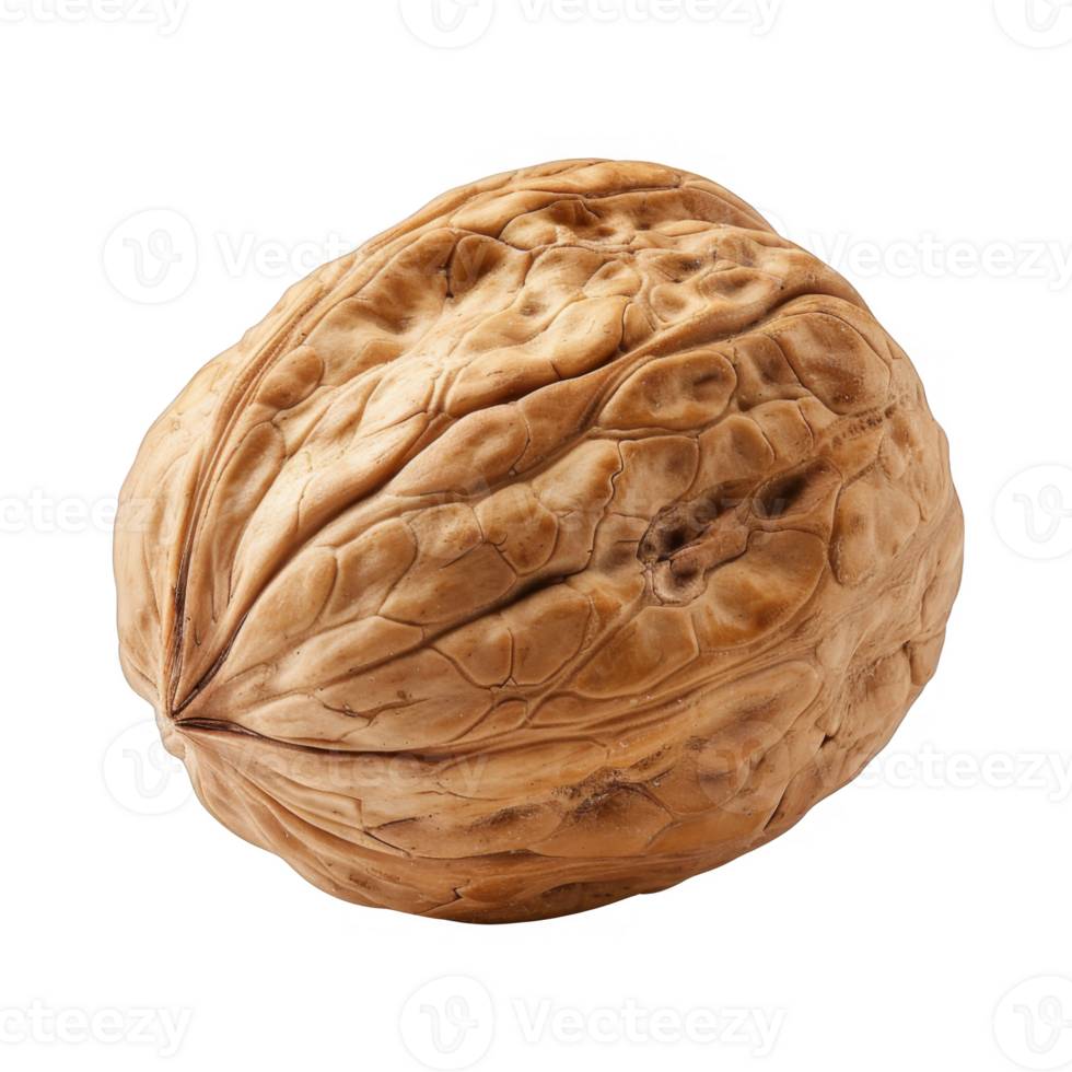 Single Walnut in Intricate Shell with Neutral Tone on Transparent Backdrop png