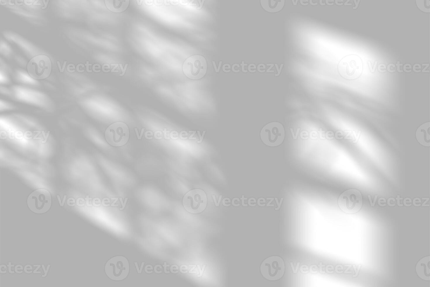 Light streaming through a window casting abstract tree shadows. photo