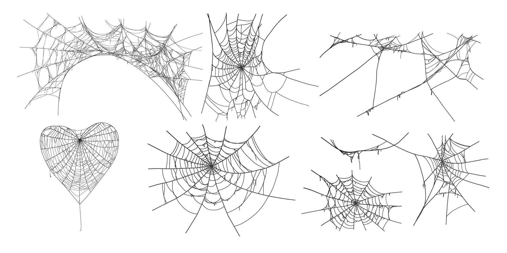 Spooky halloween old cobweb with various sizes and shapes. Oldest spider web set flat illustration. vector