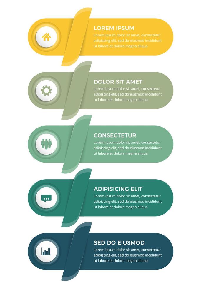 Business infographic design template with six vertical options or steps, process, workflow template vector