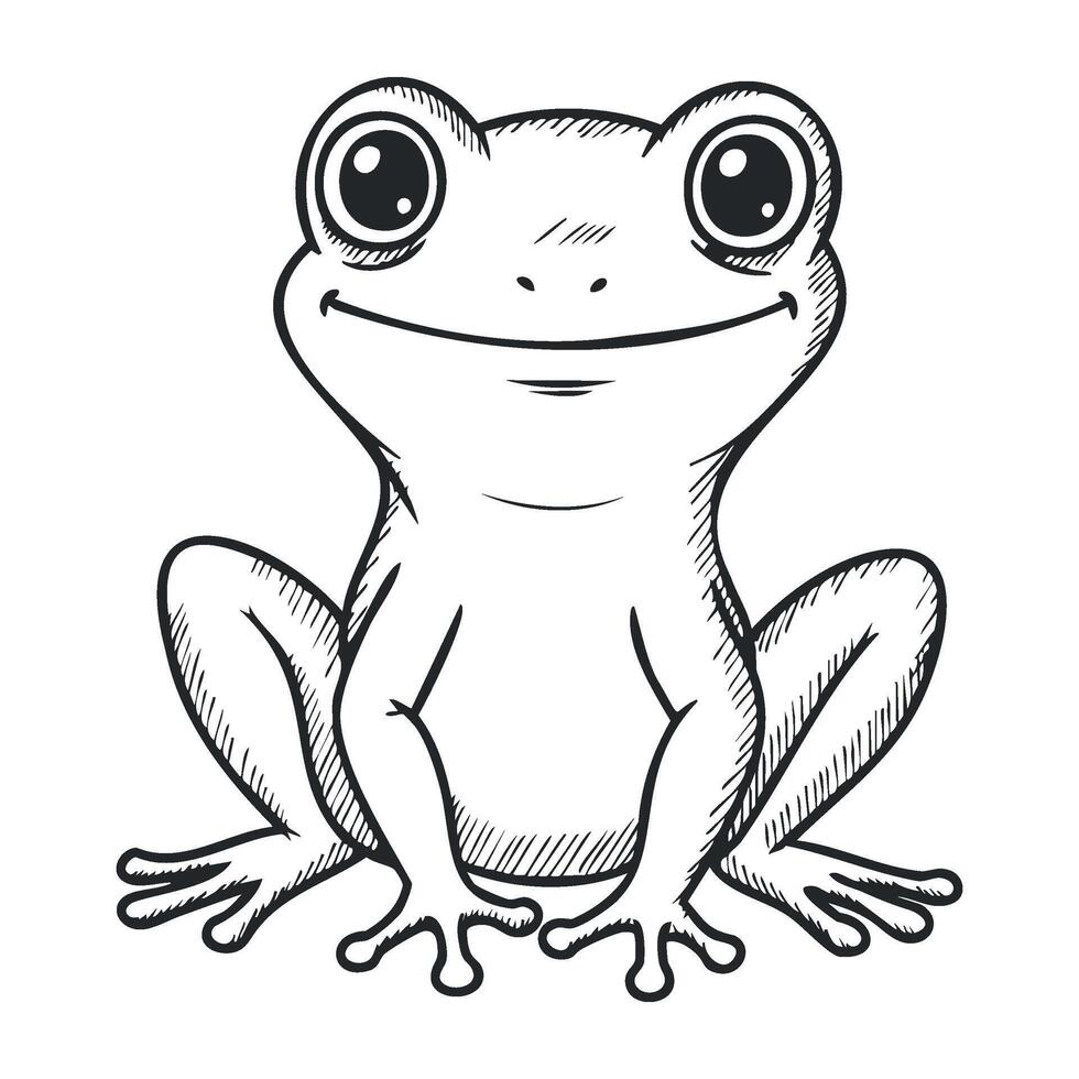 Smiling frog line art drawing with big eyes and simple lines vector