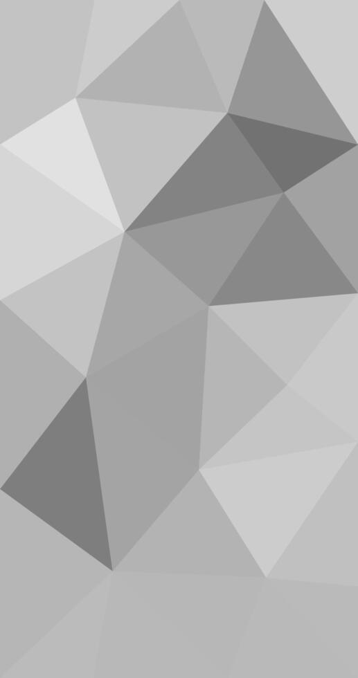 Gray Scale geometric triangular low poly style gradient graphic background vector