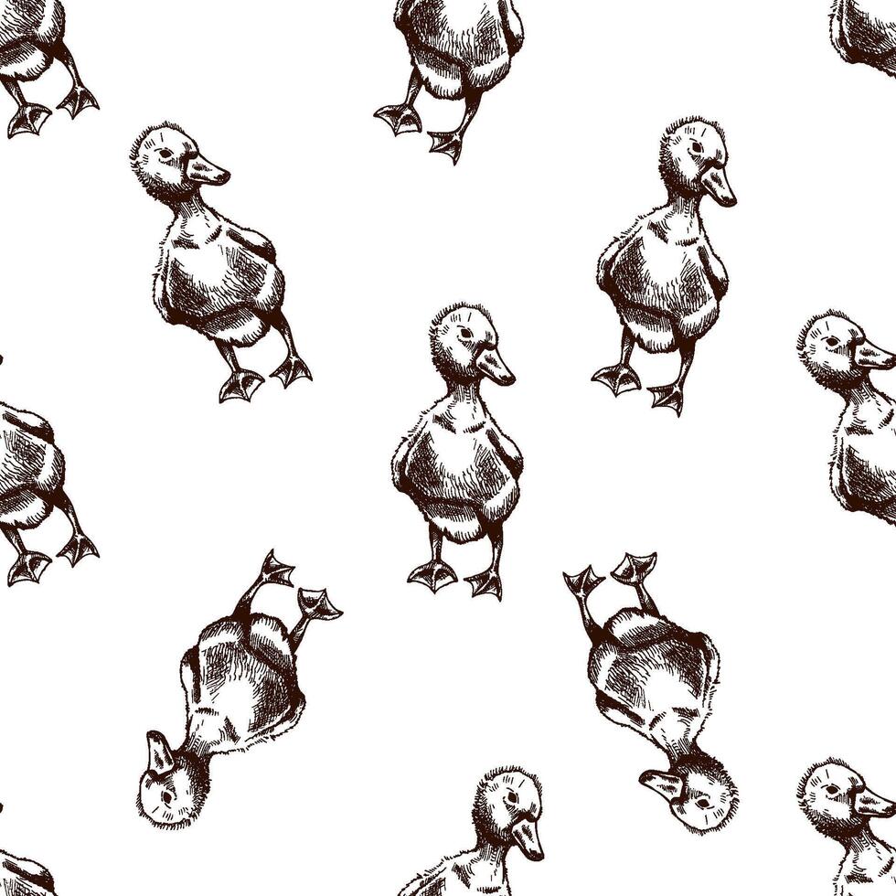 hand-drawn duck pattern illustration vector