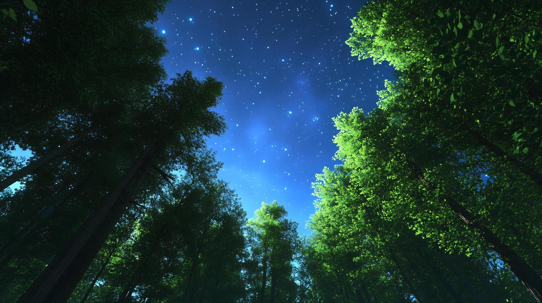 キャンバスドローイング『The forest at night』 キャンバスドローイング『The forest at night』 Forest at