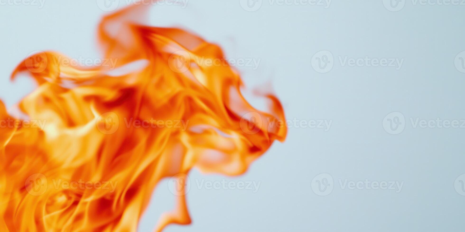 Fire flames rising on a white background, creating a dramatic and vibrant visual with ample copy space for text or design elements photo