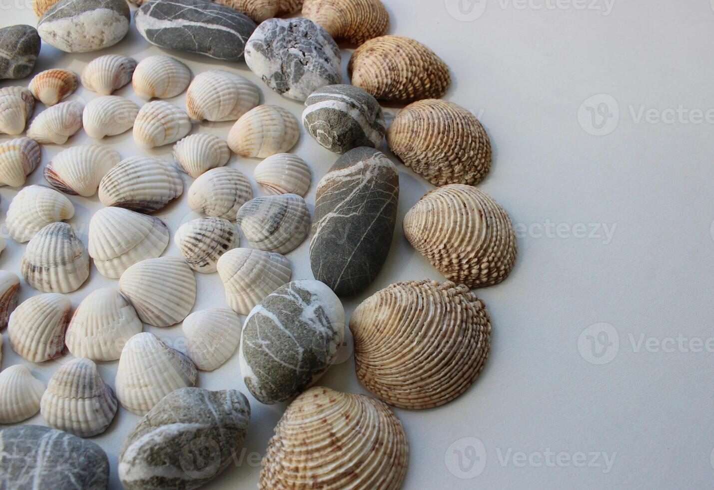 Concept for logotype or titles with round pattern of variety form and size sea shells and smooth pebbles photo