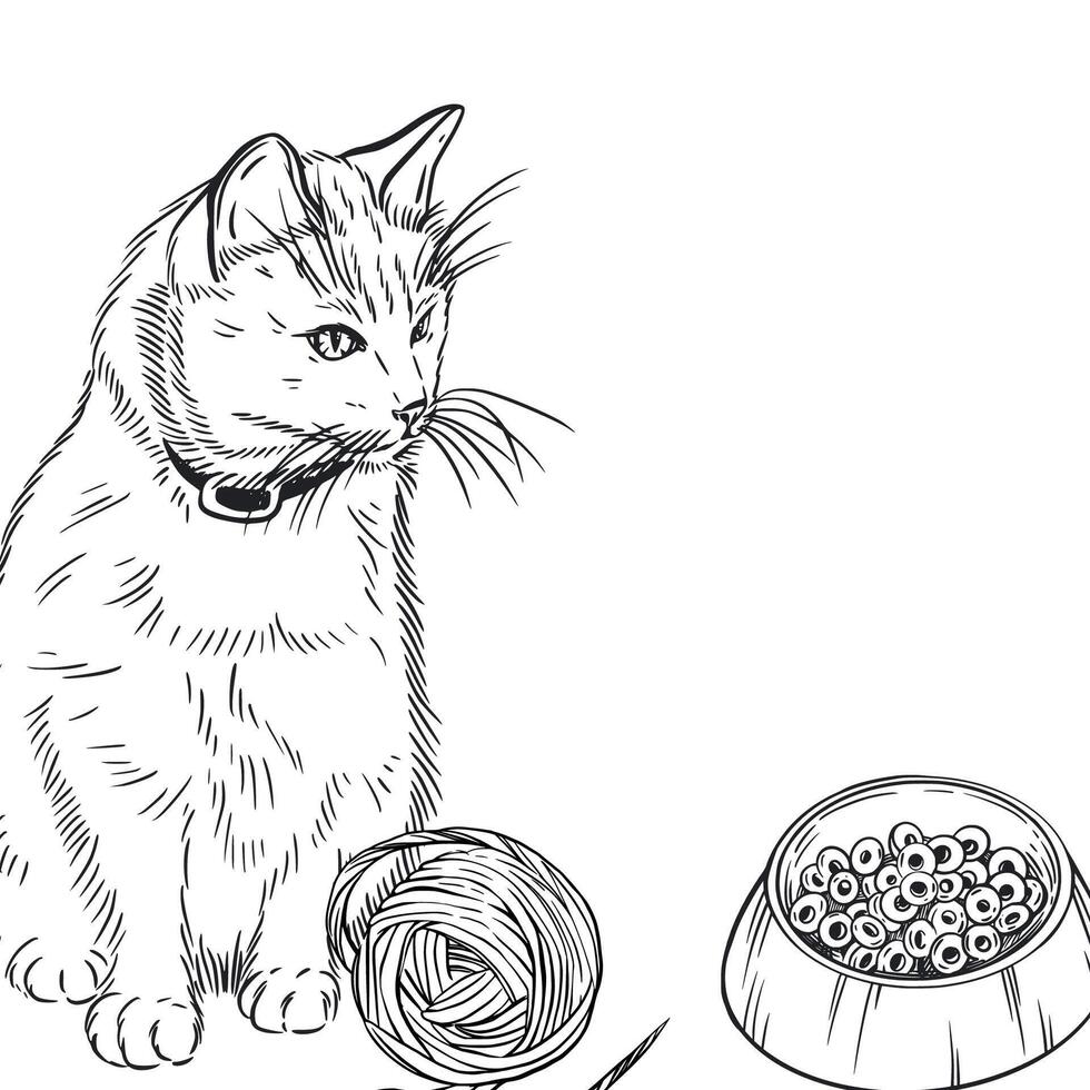 Black and white composition of a pet, cat, bowls of food, a ball of thread for play. All objects are hand-drawn with ink and converted into , for printing on postcards, coloring pages, packaging vector
