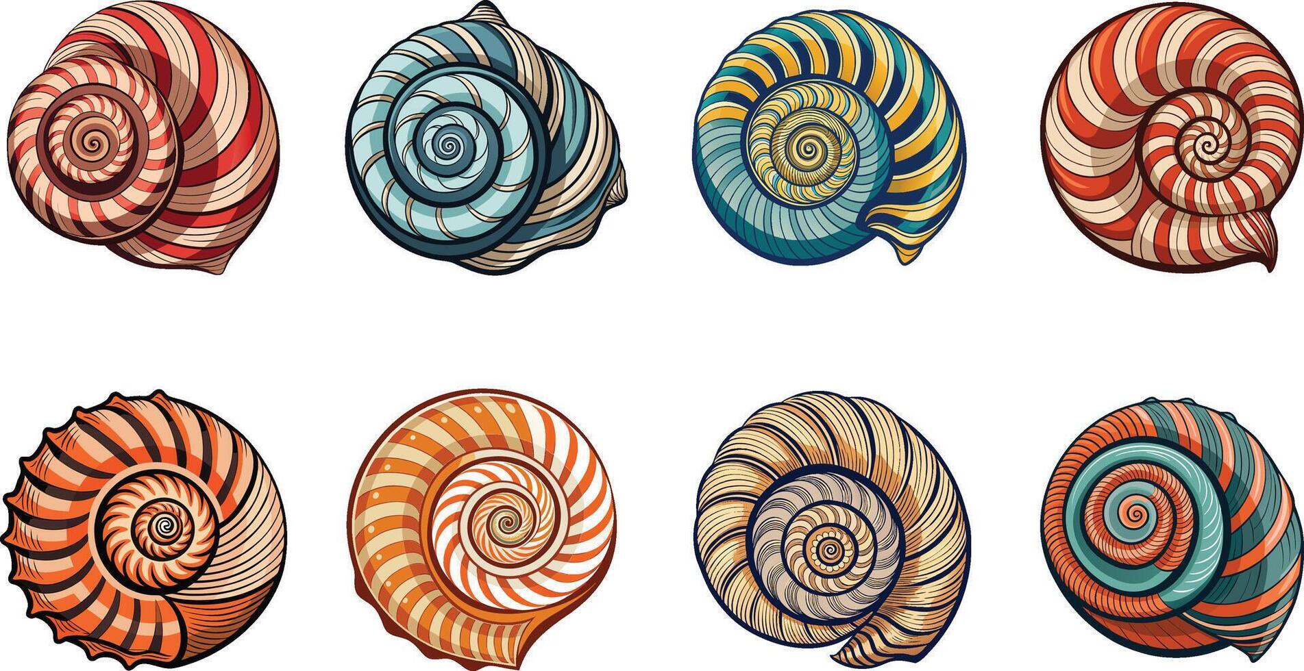 A set of colorful shells with spiral patterns vector