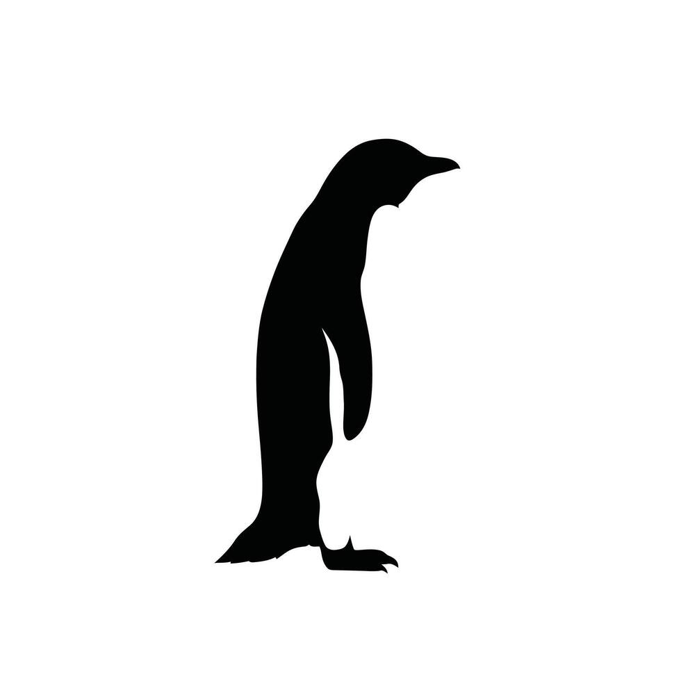 A penguin is standing in front of a white background vector