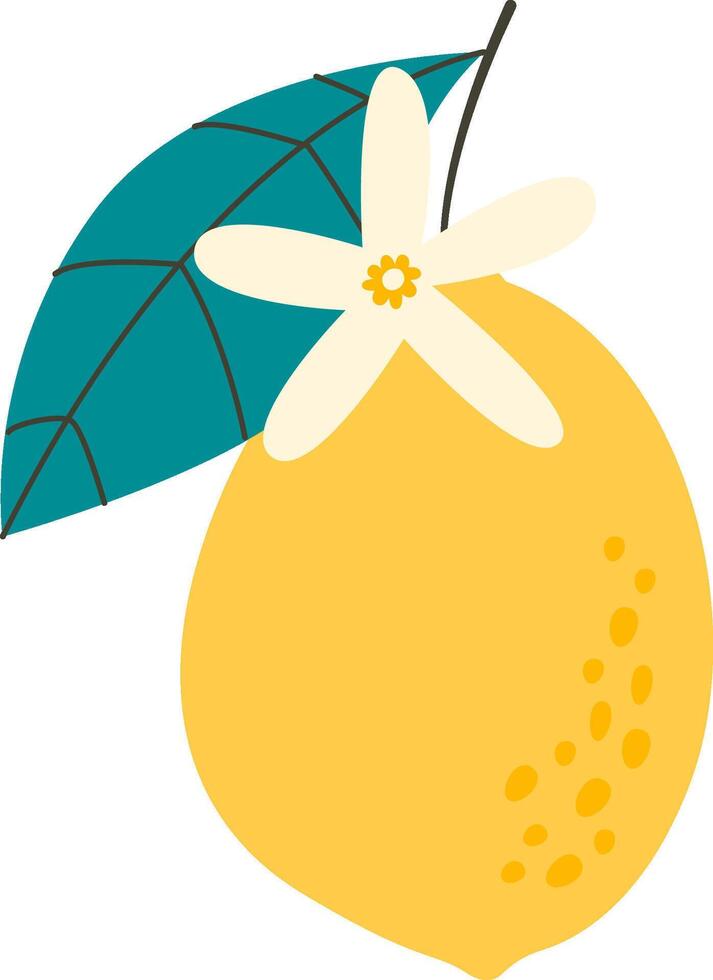 Branch With Lemon And Leaf vector
