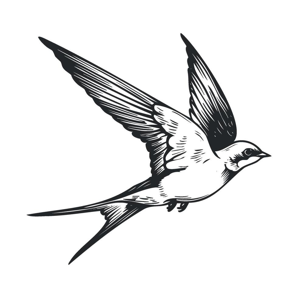 Elegant bird in flight design for artistic projects and prints vector