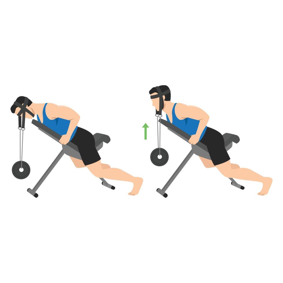 Man doing weighted neck extension on an incline bench using a neck harness to build strength. vector