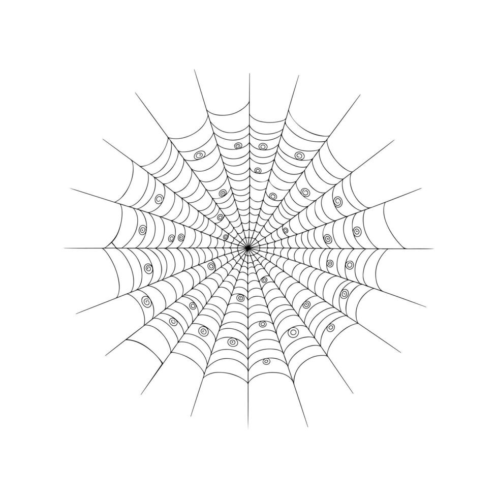 Intricate symmetrical spider web pattern with detailed circular abstract geometry vector