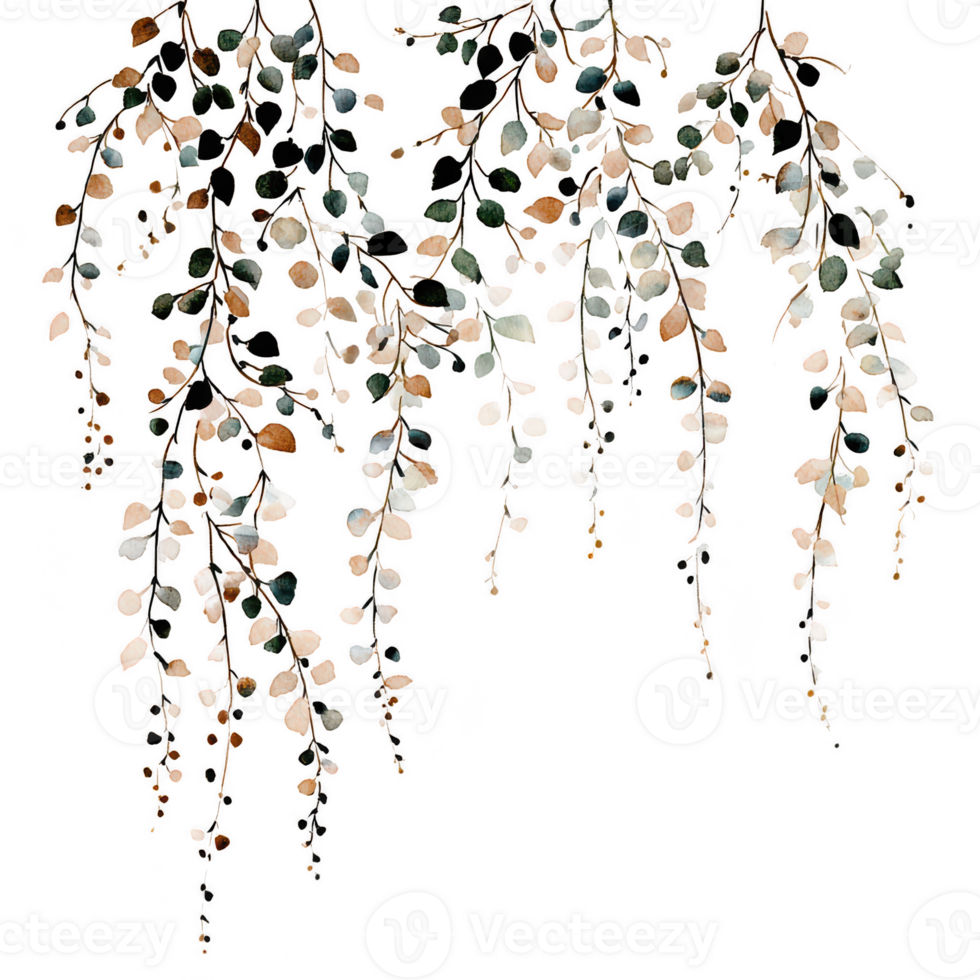 Delicate trailing botanical element with wispy foliage and small leaves in soft muted tones creates natural and elegant decorative design perfect for various creative projects png