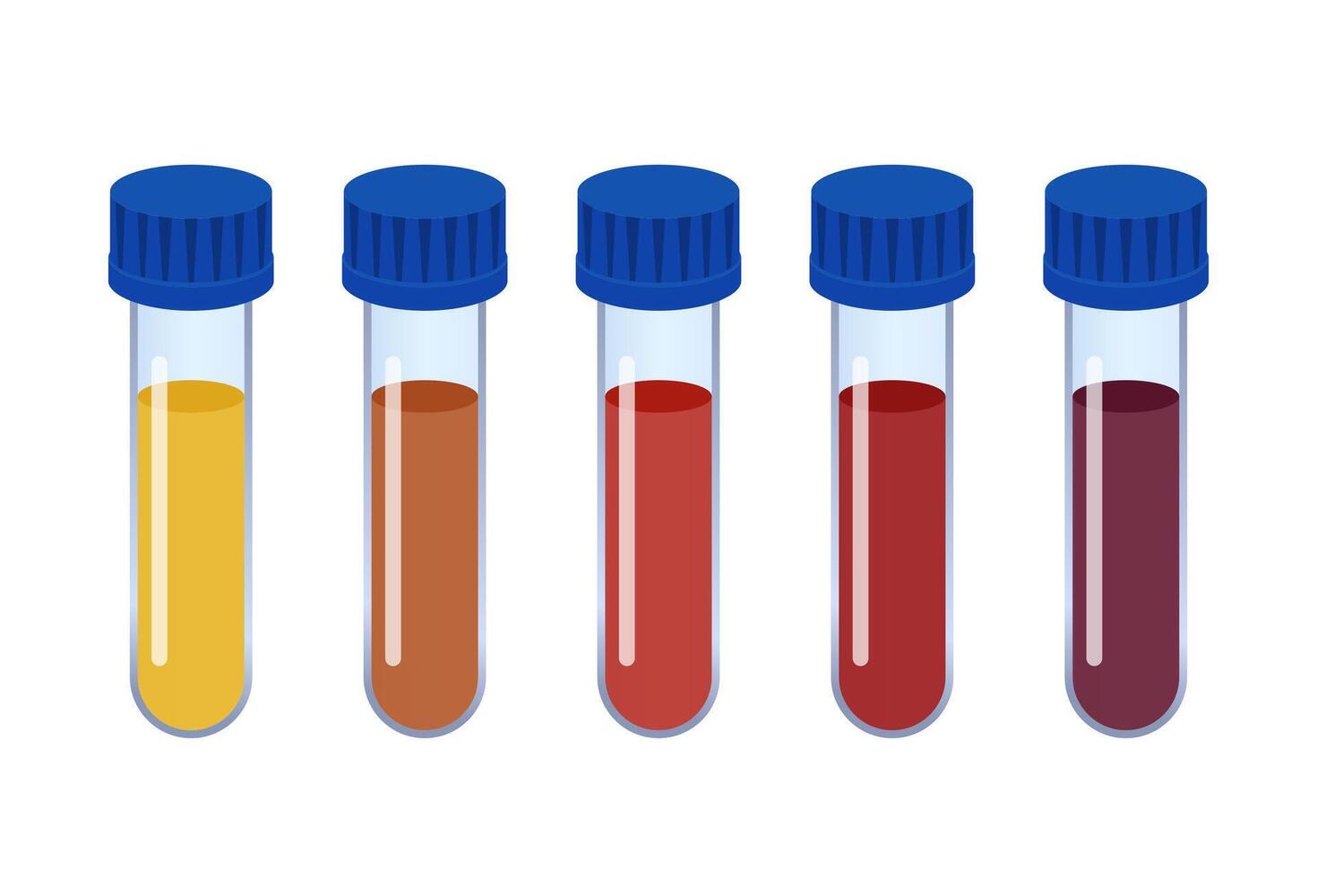 Five test tubes containing different colored liquids are displayed vector