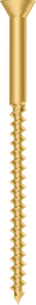 Realistic golden screw standing prominently on a transparent background, showcasing a striking visual representation of hardware, construction, and precision engineering elements vector