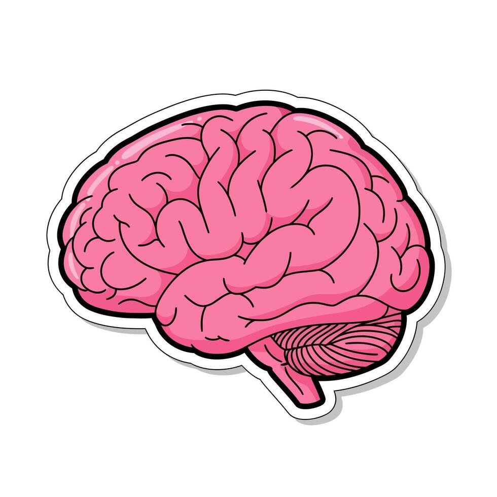 Cartoon illustration of a pink brain isolated on white background, representing intelligence, memory, learning, and the complex functions of the human mind and body vector
