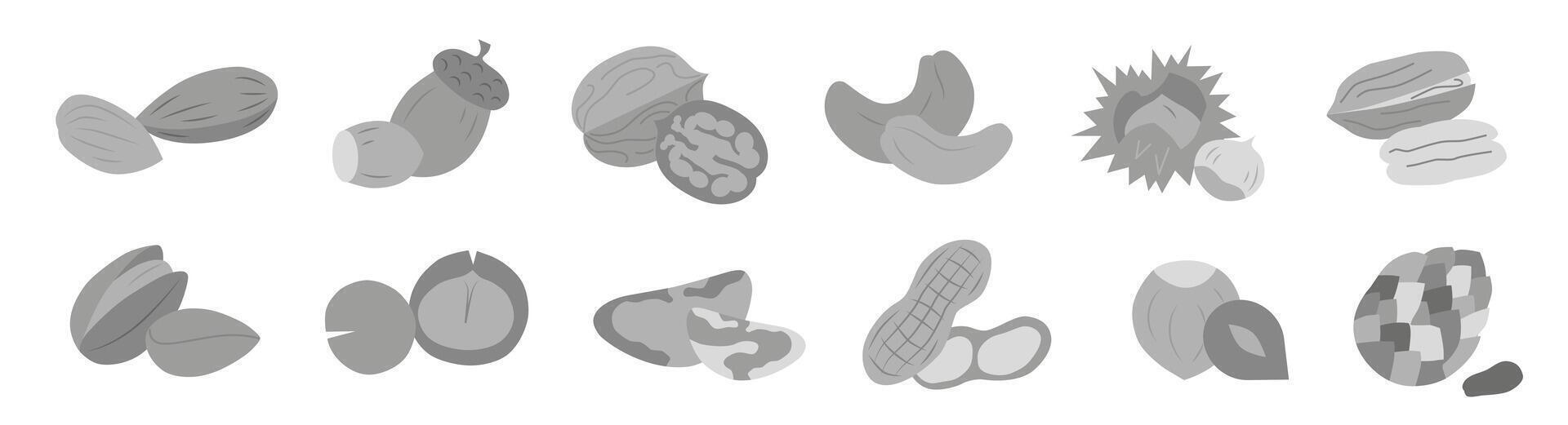 A collection of different nuts in gray. Concept of healthy eating. Various nuts. vector