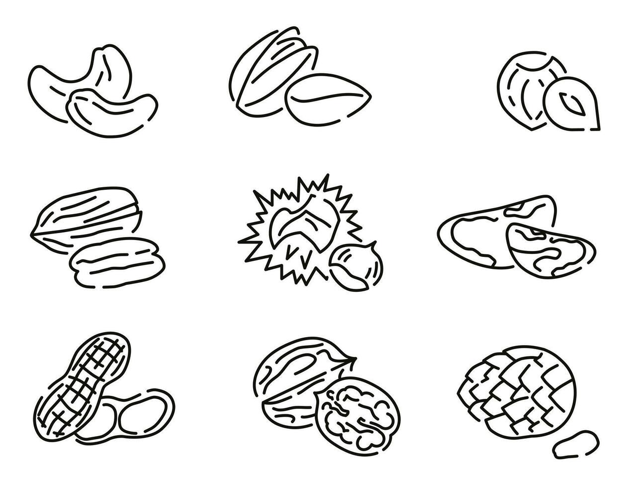 Concept of healthy eating. Various nuts. Collection of different nuts thin line with space. vector