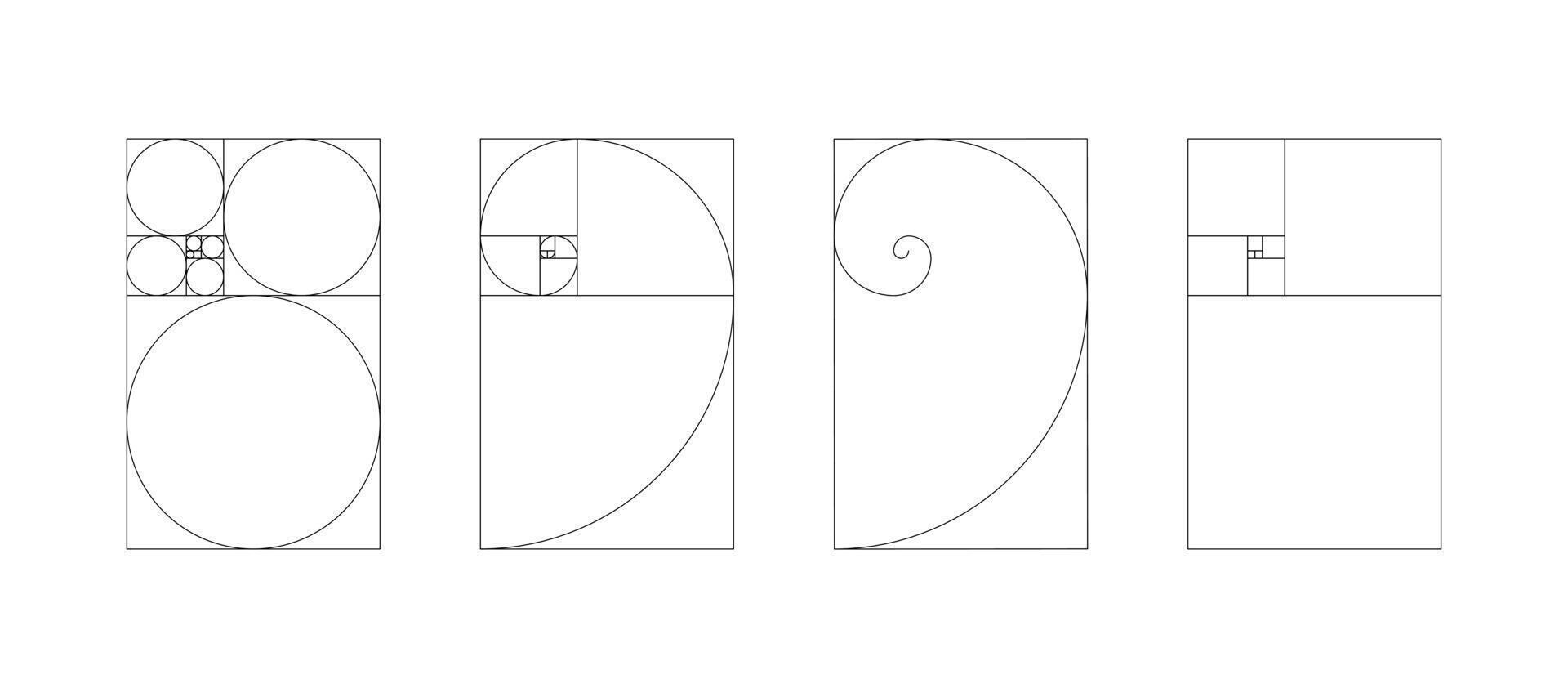 Vertical Fibonacci numbers array set. Vertical template of golden ratio harmony proportions. vector